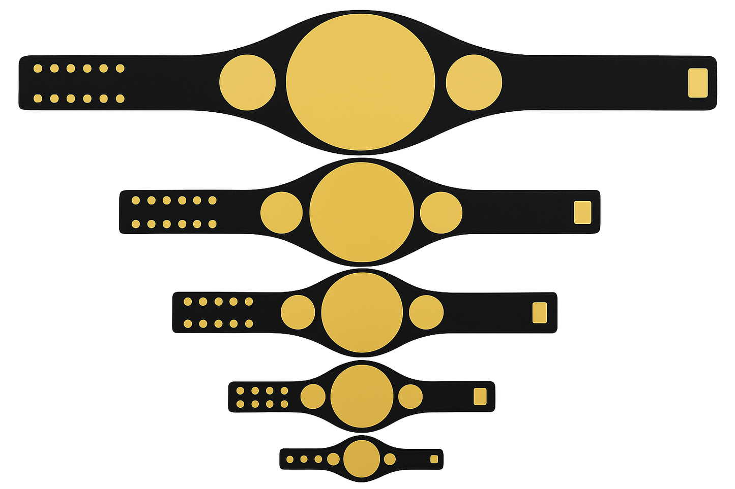 Custom Championship Belts β Personalized Wrestling & Sports Belts