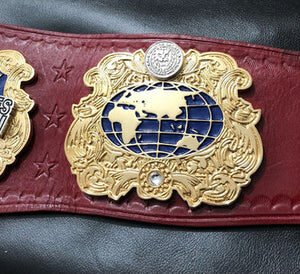 IWGP United States Championship Replica Title Belt - Image 3