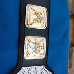 AWA Tag Team AWA World Title World Heavyweight - Image 4
