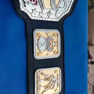 AWA Tag Team AWA World Title World Heavyweight - Image 5