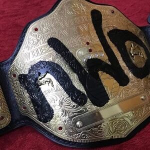 WCW NWO Big Gold Heavyweight Championship Title Belt Replica - Image 5