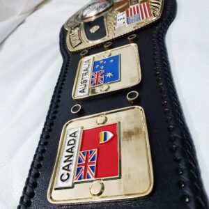 NWA World Heavyweight Wrestling Championship Belt Made Replica by QA Belts - Image 4