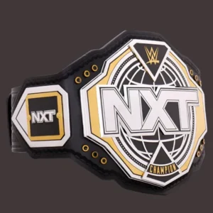 WWE NXT Championship 2024 Replica Title Belt - Image 3