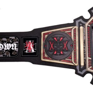 Triple H 30 Years The Authority WWE Championship Title Belt - Image 5
