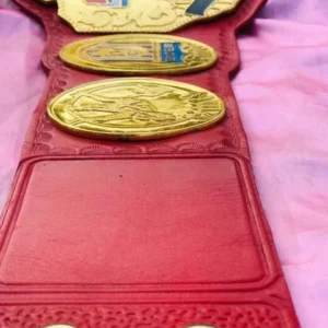 NWA UNITED STATE WRESTLING HEAVYWEIGHT CHAMPIONSHIP BELT - Image 3