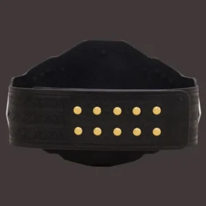 WWE NXT Championship 2024 Replica Title Belt - Image 4