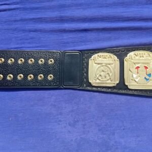 NWA North American Heavyweight Wrestling Championship Belt – CNC Made Replica by QA Belts - Image 4
