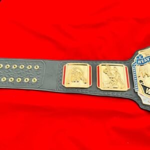 ECW World Heavyweight Championship Title Belt – Made Replica by QA Belts - Image 3