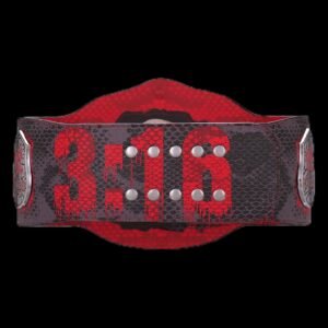 Stone Cold" Steve Austin Blood From A Stone Signature Series Title Belt - Image 3