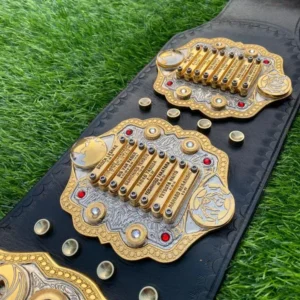 IWGP Heavyweight Championship Title Belt Replica - Image 5