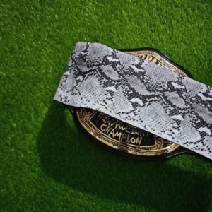 WWF Smoking Skull Championship Title Belt Replica - Image 4